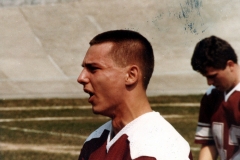 Delfino