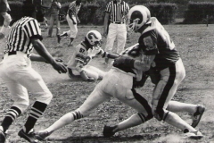 Rams_tauri_1982_004