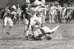 Rams_tauri_1982_010