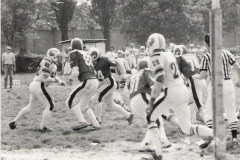 Rams_tauri_1982_018