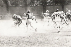 Rams_tauri_1982_020
