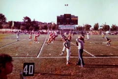 1980_Lupi_Tori