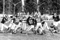 1981_Tori_Diavoli_002