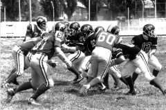 1981_Tori_Diavoli_004