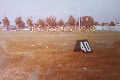 1980_Lupi_Tori_01