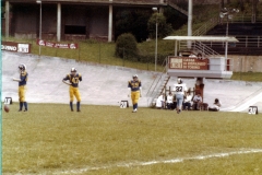 1981_Tori_Lupi_003