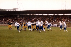 1981_Mastini_Tori_005