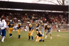 1981_Mastini_Tori_008