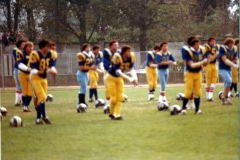 1981_Mastini_Tori_009