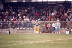 1981_Mastini_Tori_012