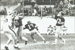 20/03/1982 - Tauri - Giaguari