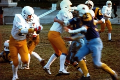 1982_Tori_Rhinos_001