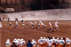 1982_Tori_Rhinos_013