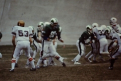 19820327_Tauri_Rams_08