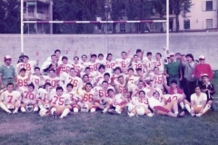 Minotauri 1984
