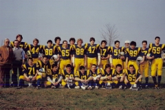 Tori 1981 Vinovo